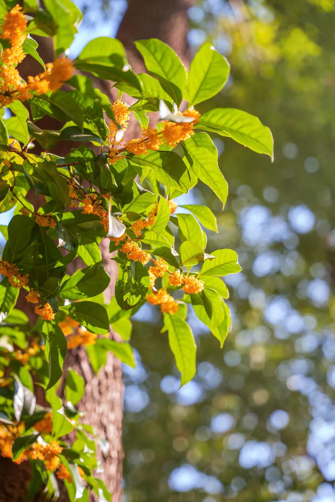 微信圖片_20211103094636.jpg 微信圖片_20211103094636.jpg