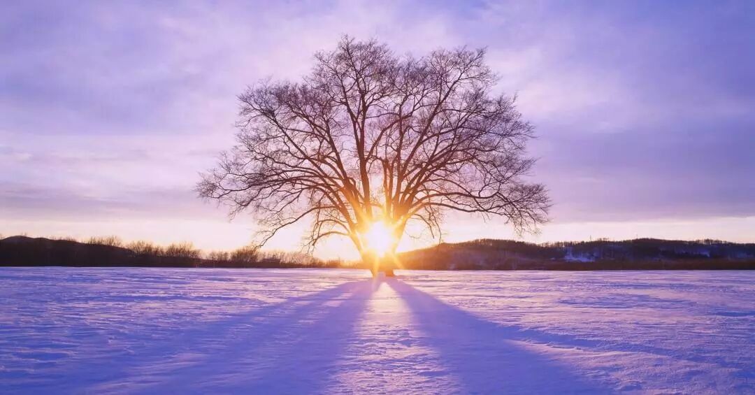 立冬將至|冬是貯藏，也是企盼