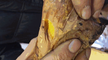 QQ圖片20221214221938.gif QQ圖片20221214221938.gif