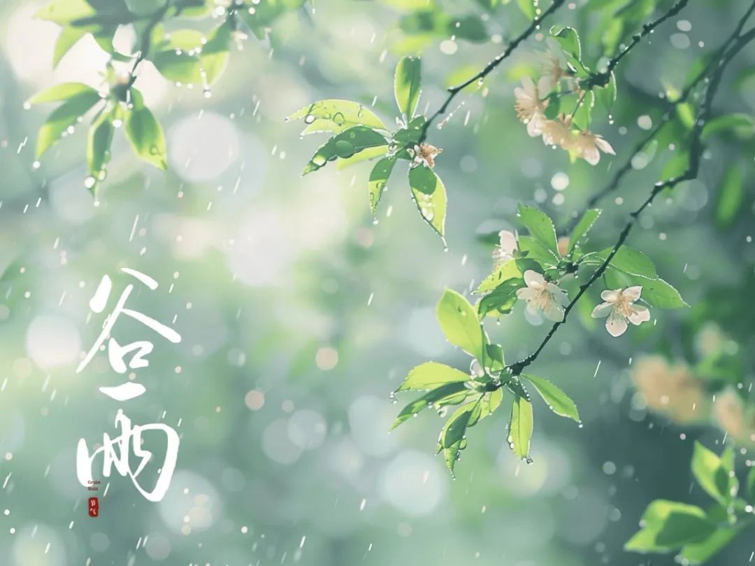 谷雨潤萬(wàn)物，酥香寄深情